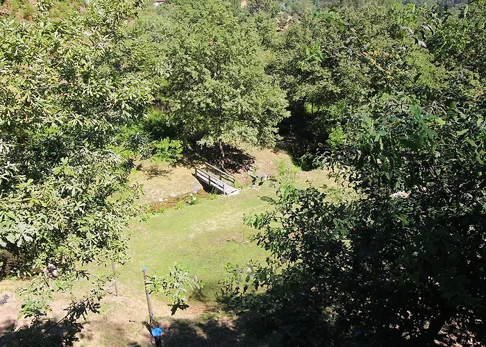 Gospodarstwo wiejskie Encostas Da Torre *